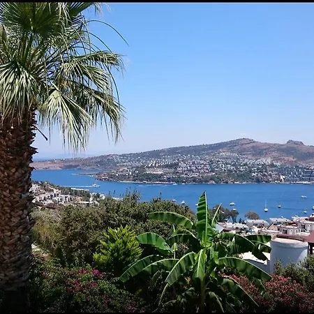 Oda ve Kahvaltı Turkbuku Gündoğan